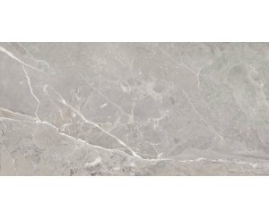 TOSCANA GRAY ANTICATTO RECT. 60x120