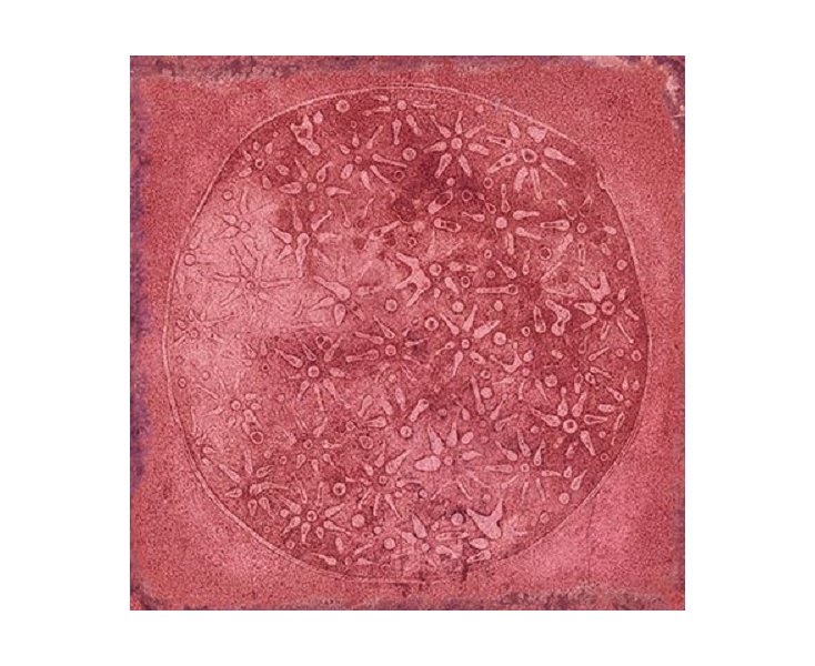 CARLO GARNET-B 20x20