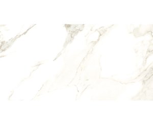 CALACATTA PURO LEVIGATO PUL. RECT. 60x120