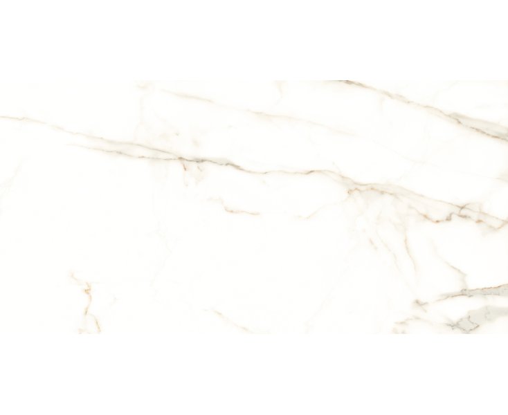 CALACATTA PURO LEVIGATO PUL. RECT. 60x120