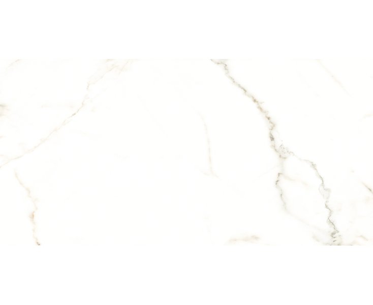 CALACATTA PURO LEVIGATO PUL. RECT. 60x120