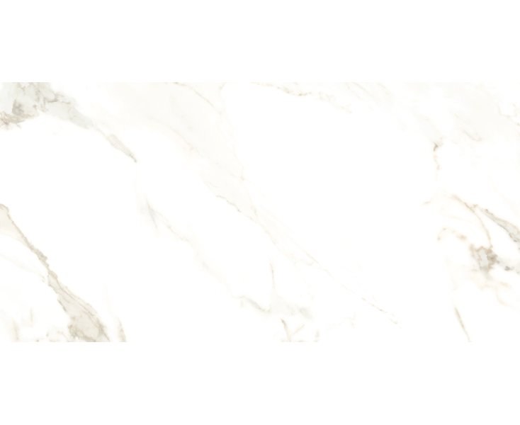 CALACATTA PURO LEVIGATO PUL. RECT. 60x120
