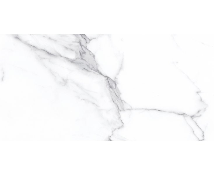 STATUARIO BIANCO POLISHED RECT. 60x120  