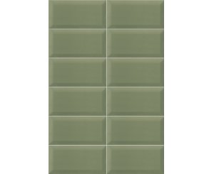 BISSELL GREEN OLIVE 10x20
