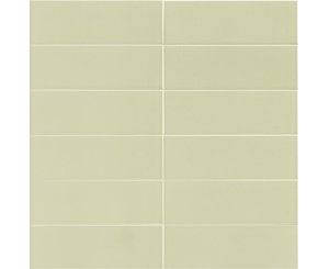 JUNGLE MINT 10x30