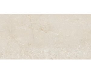 POLISHED BUKIT-R 59.3x119.3