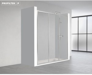 SHOWER FRONT ECODUX EC210 1150mm