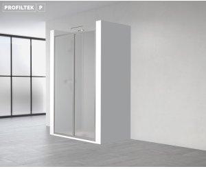 SHOWER FRONT ECODUX EC211 1390mm