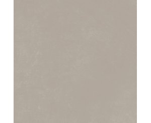 PLANET SILVER ANTISLIP RECT. 60x60