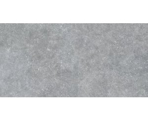 ARDENNES GRAY ANTISLIP C3 RECT. 60x120