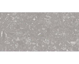 LUNA-R GRAY 60x120