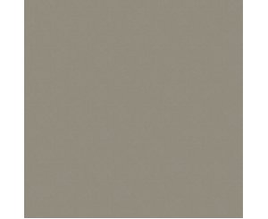 PROJECTION BRONCE 60x60