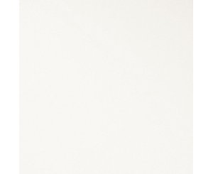 MATTE WHITE RECT. 59.2x59.2