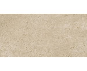 ETERNA GREIGE RECTIFIED 60x120