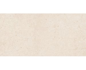 ETERNAL WHITE RECTIFIED 60x120