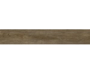 INEDITO CENERE NATURAL RECT. 25x150 ​