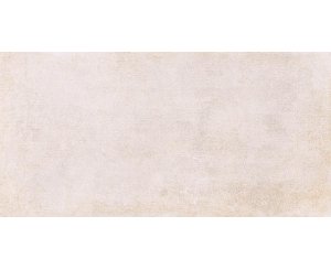 CHICAGO ARENA C2 30x60 ​