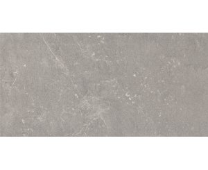 PIAZEN ASH MATE 30x60 ​