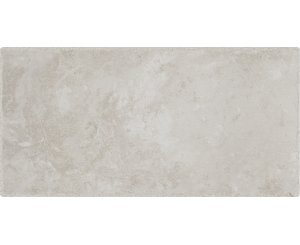 PIETRA D'ASSISI BIANCO 20x40  