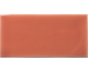CORAL FAYENZA 6.2x12.5 ​