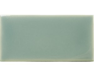 FAYENZA FERN 6.2x12.5 ​