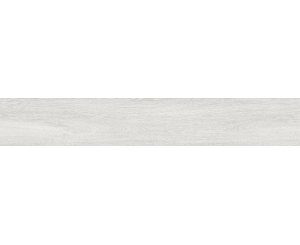 ASPEN WHITE MATE RECT. 19.4x120 ​