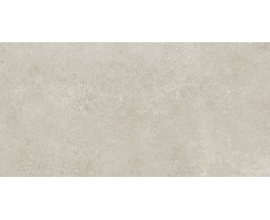 AVENUE GRAY MATTE RECT. 60x120 ​