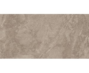 TITANIUM BROWN MATTE RECT. 60x120