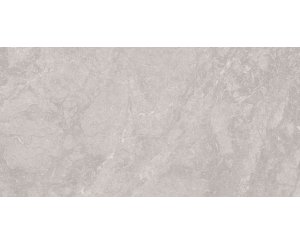 TITANIUM SILVER MATTE RECT. 60x120 ​