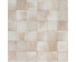 GLEEZE BEIGE 10x10