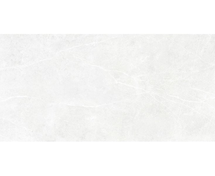 FERRARA NATURAL GRAY RECT. 60x120
