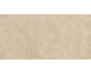 REALSTONE ARGENT MIELE RECT. 60x120