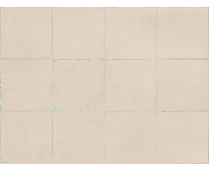 VALENCIA CORAL C-2 20x20
