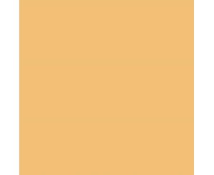 MUSTARD C-2 20x20