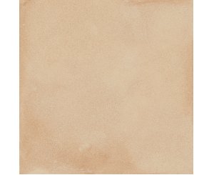 AMURI BISCOTTO NATURAL 20x20