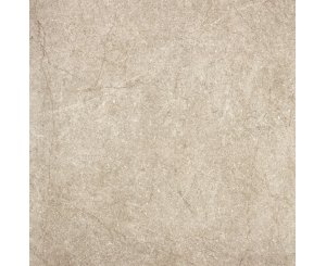 JASPER NUT NATURAL RECT. 100x100