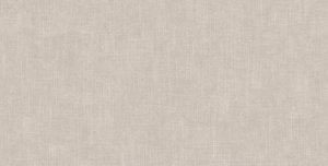 TRAMES ALMOND MATE RECT. 60x120