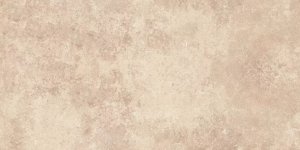 AIN ARENA INOUT 60x120