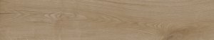 OLAND HONEY C1 23x120  