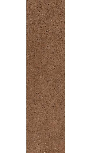 RADIX BOLD ANTISLIP C3 8x31.5