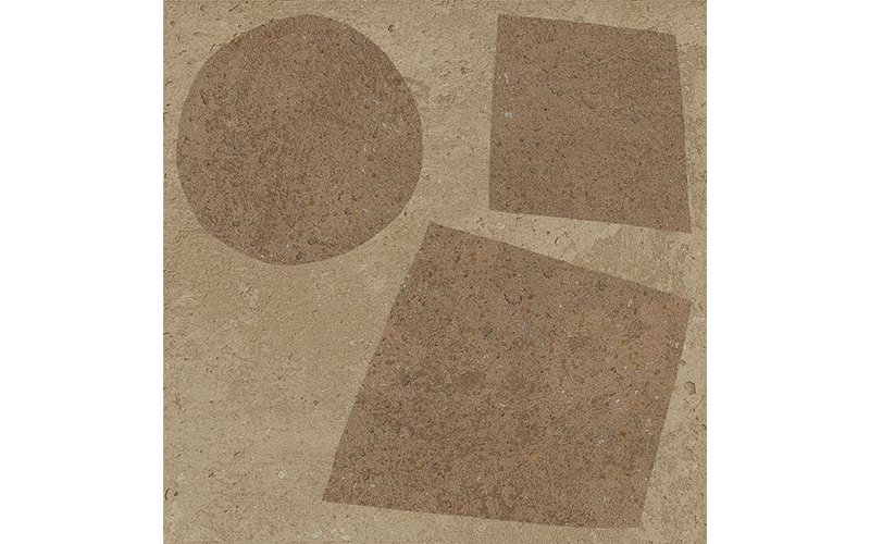 PICTUS CHIPPER 13x13