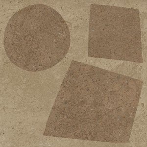 PICTUS CHIPPER 13x13