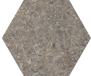 TIBET EARTH HEX C2 15x17.3