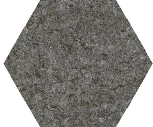 TIBET COAL HEX C2 15x17.3