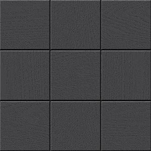 CANAIMA BLACK 30x30