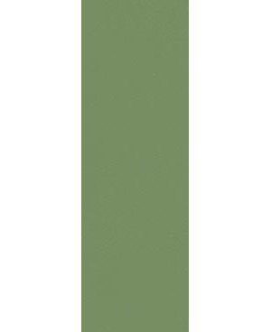 ZEPTO GREEN 4.2x13
