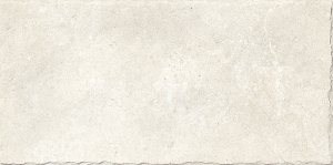 DRY WINDSOR 259 WHITE RECT. 29.6x59.4