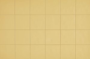 CHROMA GINKGO YELLOW 13x13