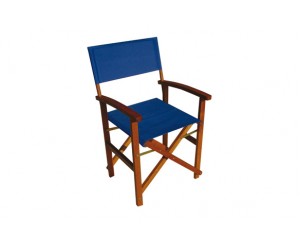 SILLON DIRECTOR 200 GR AZUL OFERTA