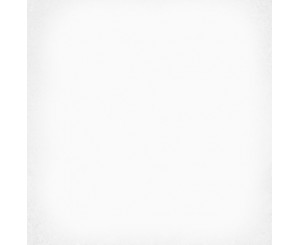 1900 BLANCO 20x20